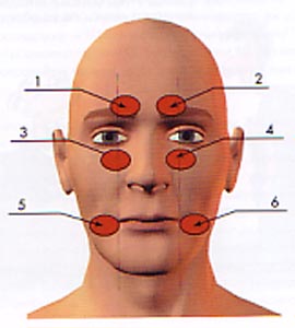 Расположение точек на лице